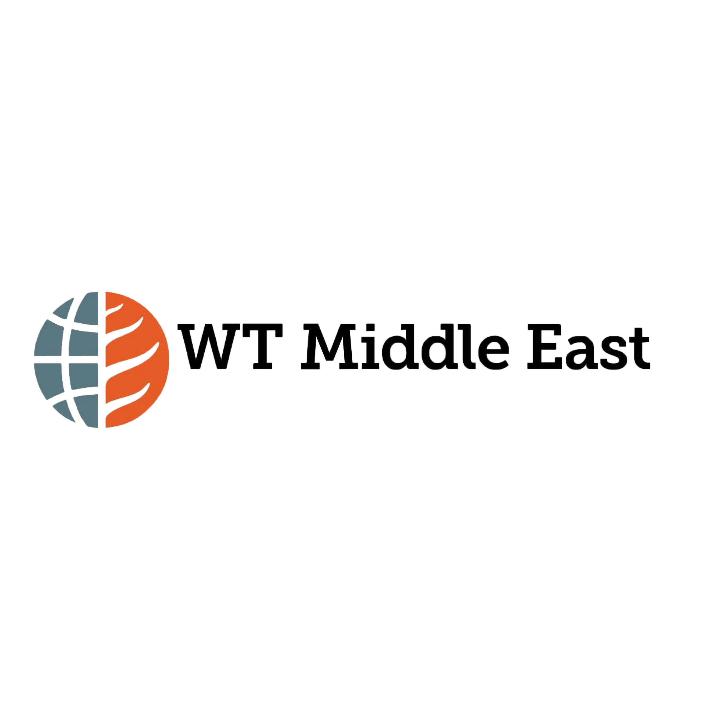 최신 회사 블로그 우리는 WT 중동 2025에서 전시합니다  Dubai의 부스 L90에서 만나십시오!